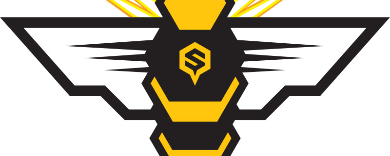 Champion Schools Logo